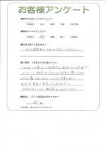���츩����������Į������