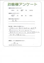���ɸ��̳�뷴����Į������