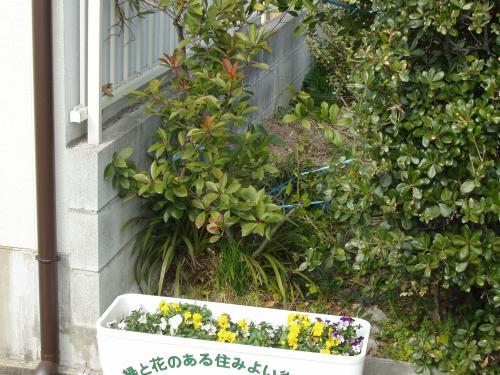 施工前