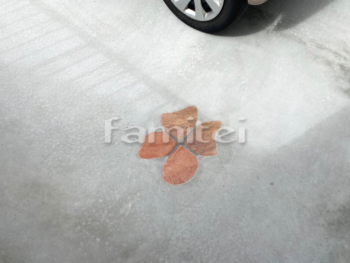 �ݥ���Ⱦ���Ž�� ����� �бѴ�