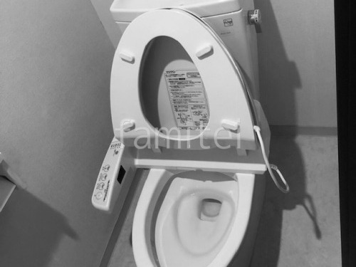 �ȥ��� �ܹ���