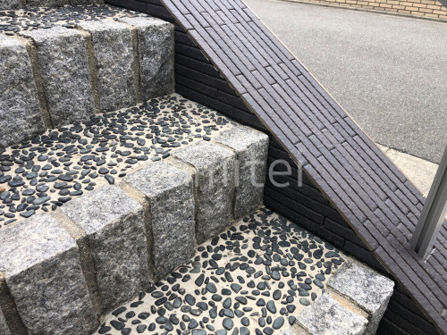 �ɥ�����ĥ��  ����ȡ� �ץ쥸����ܡ����� 