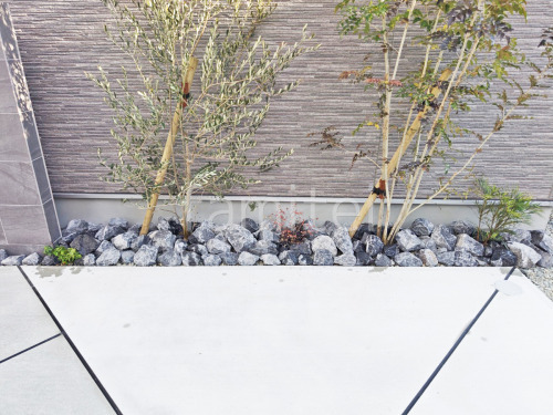 ���å������ǥ� ��˥��� �梁���å� ������