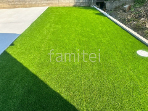 �͹��� �襷�ߥ��ӿ� �ꥢ��͹��� 25���� ���𥷡��Ȳù�