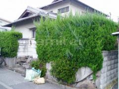 植栽撤去前