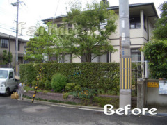 施工前