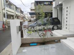 植栽　常緑シマトネリコ