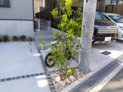 植栽 シンボルツリー 常緑樹 ソヨゴ